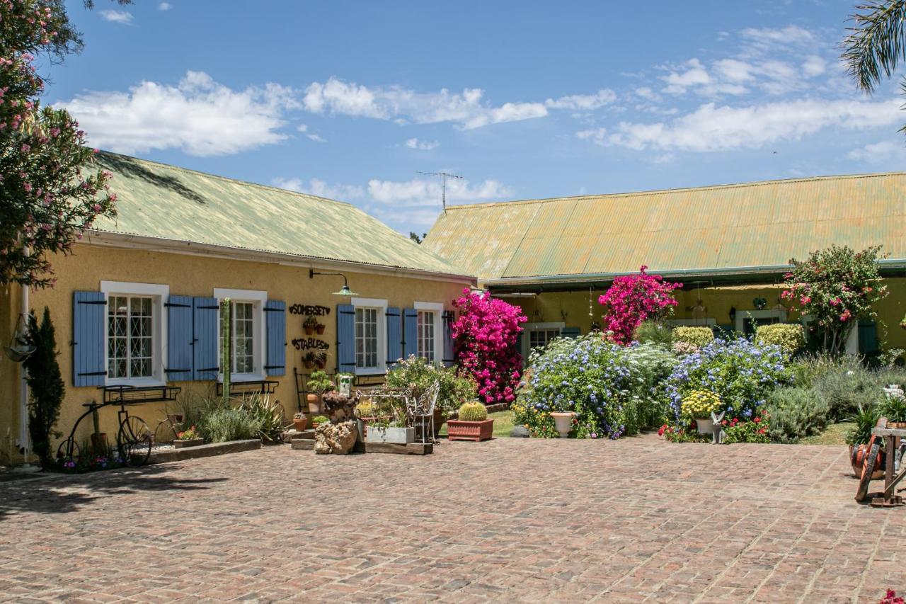 Graaff-Reinet Somerset Stables מראה חיצוני תמונה